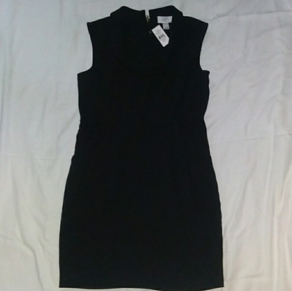 🆕 NWT LOFT Fitted Sleeveless Dress w/Collar& Pkts - Picture 3 of 8